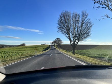Eine Landstraße in Niederösterreich als Metapher für eine lange Reise.